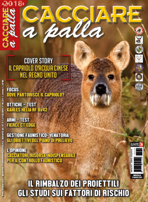 Cacciare A Palla Aprile In Edicola Dal Marzo Armi Magazine