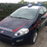 fiat-punto-1-3-jtdm-95-cv-auto-dei-carabinieri