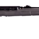 A22 22LR Savage