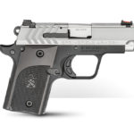 Pistole compatte Springfield Armory 911 Alpha steel