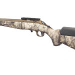 ruger rimfire, la carabina con calcio camo