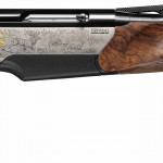 Benelli Endurance Best Limited Edition