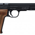 Qual è prezzo delle pistole Walther Csp in Italia