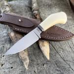 Lionsteel Willy